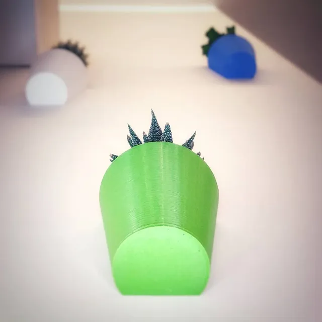 3D printed pots
